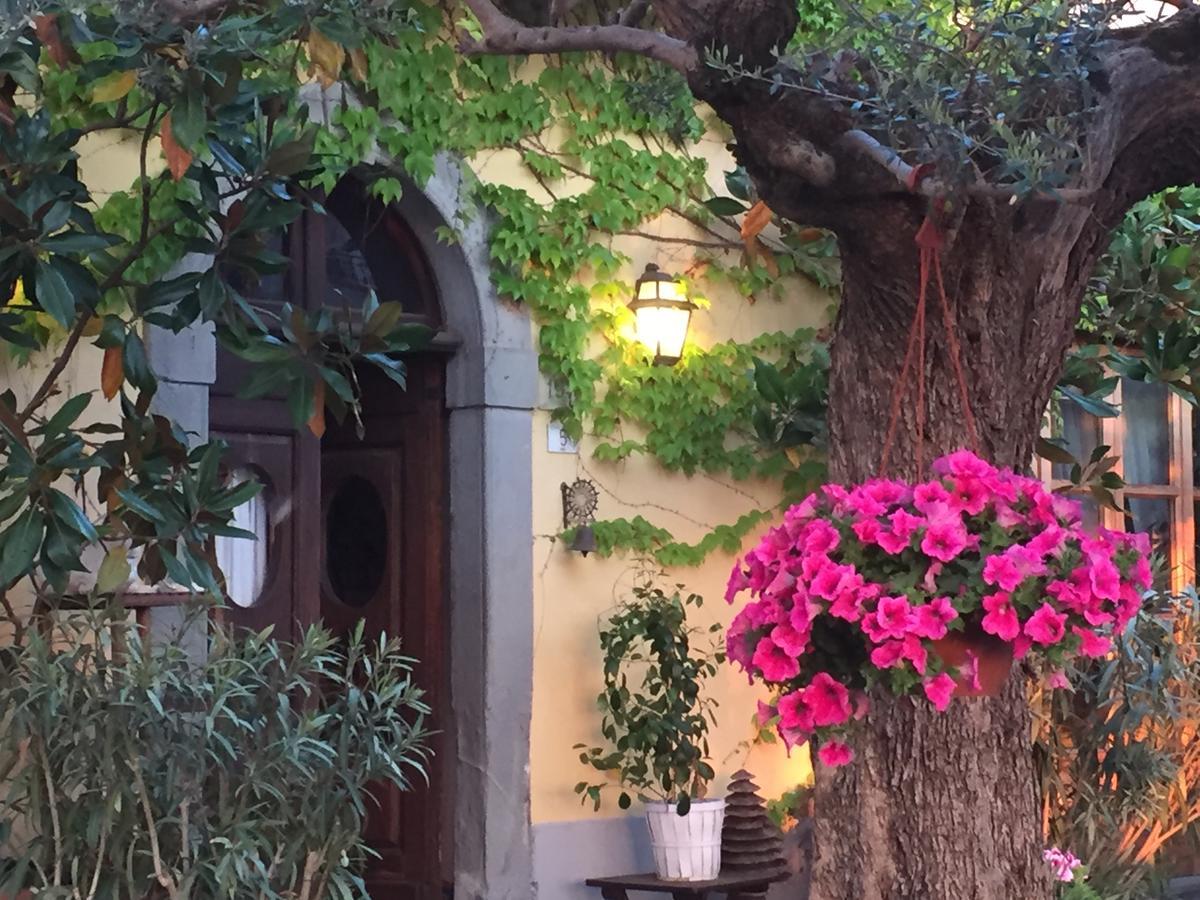 Il Sole Del Sodo ξενώνας Κορτόνα Εξωτερικό φωτογραφία