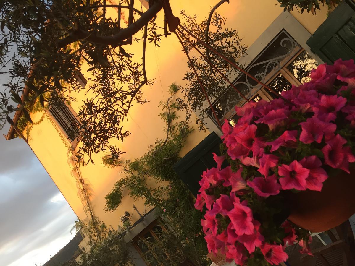 Il Sole Del Sodo ξενώνας Κορτόνα Εξωτερικό φωτογραφία
