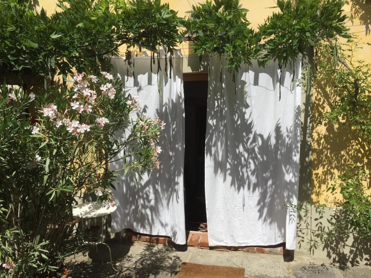 Il Sole Del Sodo ξενώνας Κορτόνα Εξωτερικό φωτογραφία