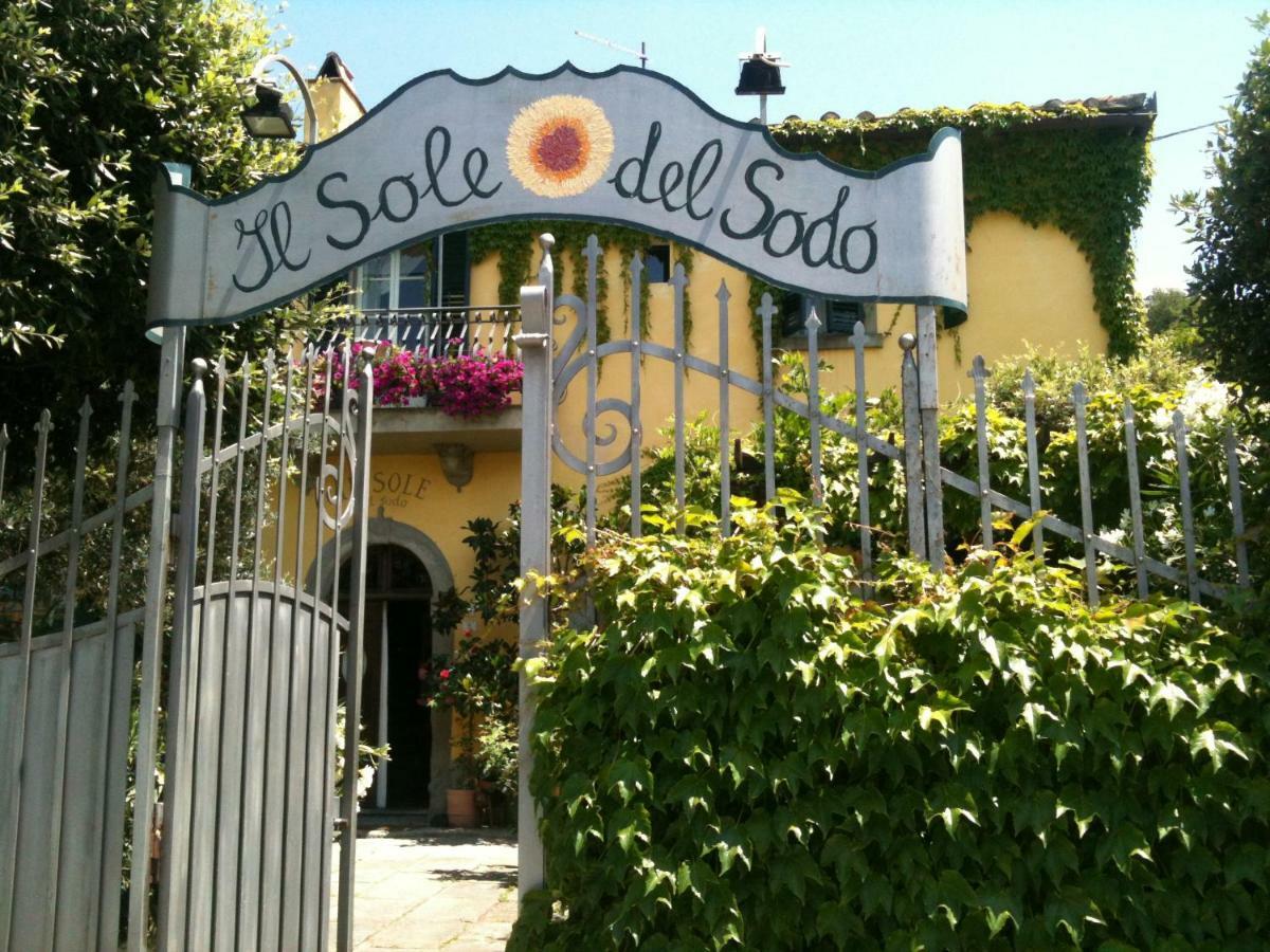 Il Sole Del Sodo ξενώνας Κορτόνα Εξωτερικό φωτογραφία